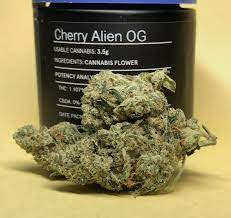Where to Buy Weed Online Bundaberg Buy Alien Og In Australia. its intense high combines heavy body effects and a psychedelic cerebral buzz.