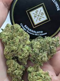 Buy Quality Weed Online In Australia Buy Banana Lato In Sydney. Those suffering from bipolar disorder, depression and mood disorders Can Use This Strain.