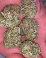 Buy Cannabis Online In Canberra Buy Durban Poison Canberra. It has gained popularity worldwide for its sweet smell and energetic, uplifting effects.