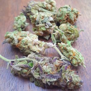 Buy Girl Scout Cookies Online Australia Buy Weed In Gold Coast. Its one of the best for people suffering from Chronic Pain, Depression, Loss of Appetite.