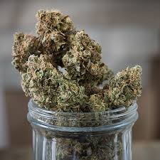 Where to Buy Weed Online Australia Buy Cannabis Online In Au. It Can Relieve Chronic Pain and Nausea · People With Epilepsy May Benefit.