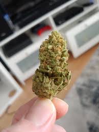 Where to Buy Weed Online Griffith Buy Cannabis Online Australia. It produces euphoric and cerebral effects that will leave you feeling physically relaxed.