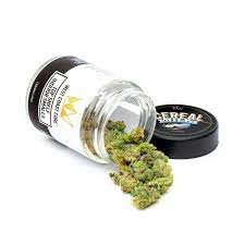 Buy Cannabis Online Mount Gambier Buy Weed Online Australia. It has a flavor of sweet milk and ice cream nose that keep you dipping back into your stash.