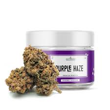 Where To Buy Weed Online Geelong Buy Purple Haze In Australia. It remains cherished for its high energy cerebral stimulation that awakens creativity.
