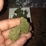 Where To Buy Cannabis Online Newcastle Buy Weed In Australia. It provides clear-headed effects and the ability to relax without sedation or intoxication.