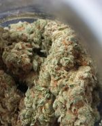 Where To Buy Weed Online Adelaide Buy Cannabis In Australia. It produces happy, peaceful effects that sharpen creativity and sensory awareness.