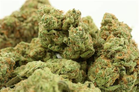 Buy Marijuana Online Noosa Australia Weed For Sale In Queensland Australia From 420auweed With Fast And Discreet Delivery Guaranteed