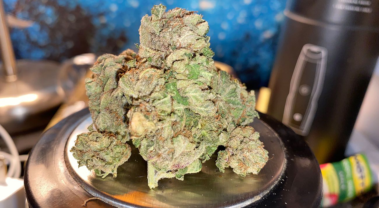 Marijuana For Sale In Alice Springs Australia