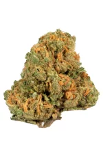 Where to Buy Weed Online Armidale Buy Cannabis Online In Au. Consumers typically describe this 55% sativa hybrid as blissful, clear-headed, and creative.